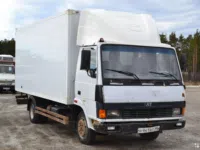Промтоварный фургон TATA 613