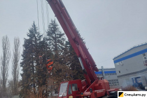 Автокран Tadano TR250M