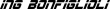 BONFIGLIOLI